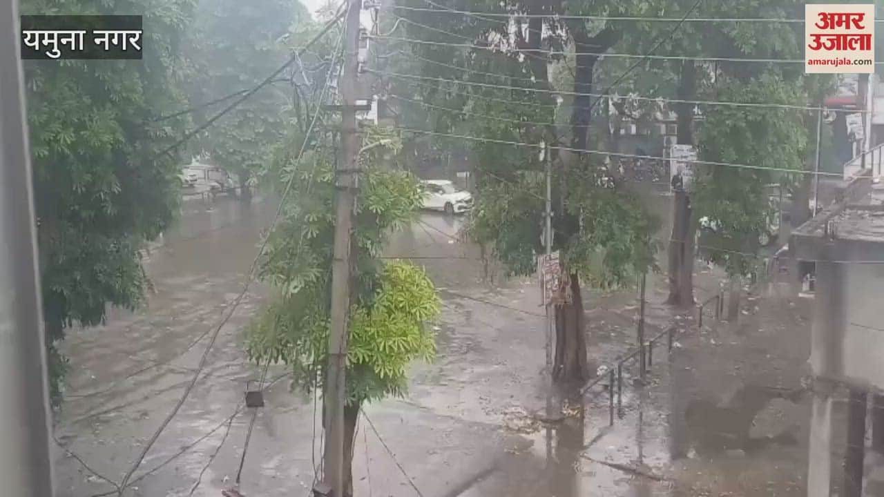 Rainfall in Yamunanagar brought relief and trouble, waterlogging in twin cities, paddy plantation got a boost