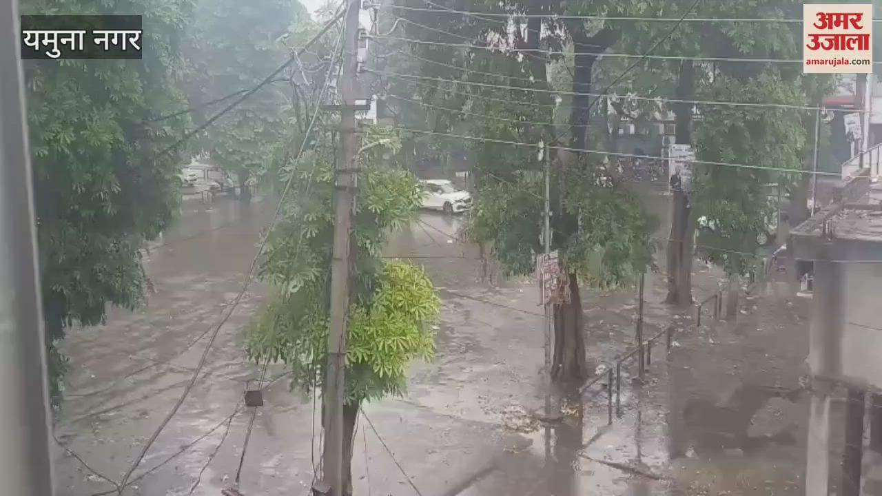 Rainfall in Yamunanagar brought relief and trouble, waterlogging in twin cities, paddy plantation got a boost