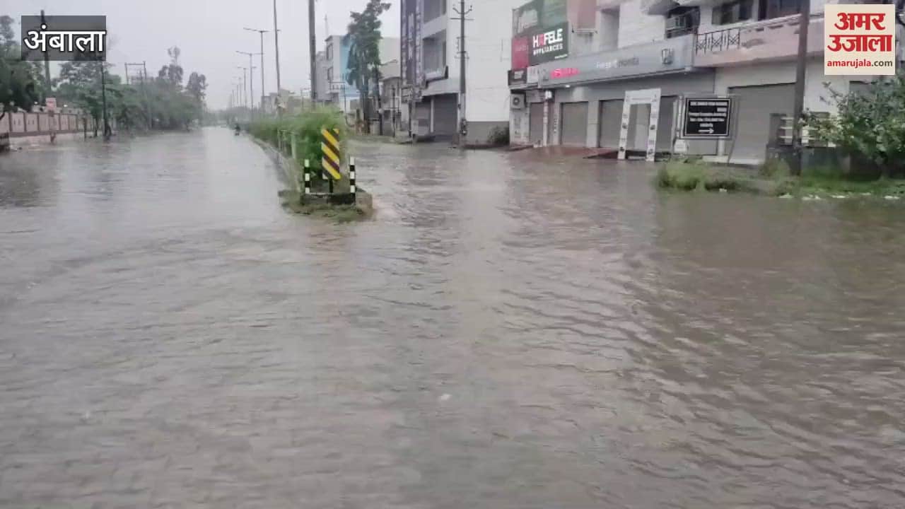 Ambala received the highest rainfall of 91 mm, waterlogging occurred in main residential areas
