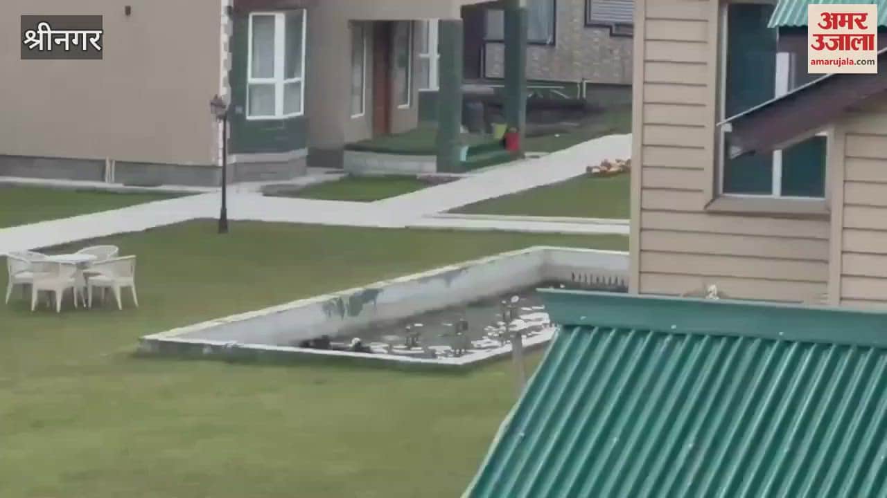 Two brown bears were spotted cooling off in the refreshing waters of Sonamarg Hotel, today, making the most of the ongoing heatwave.