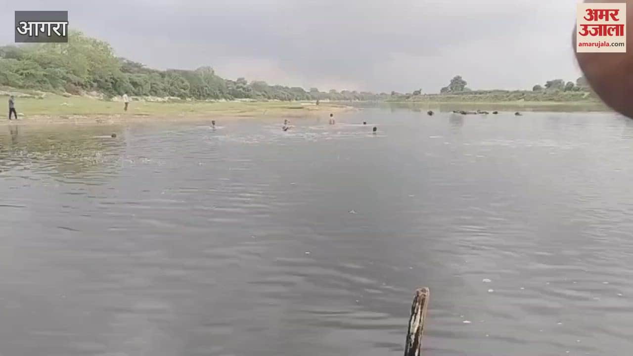 Four children drowned in agra