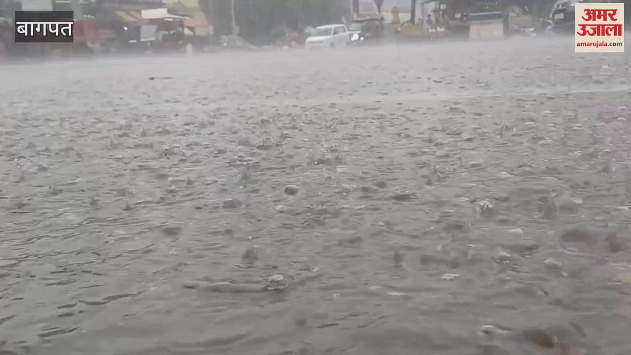 Weather changed due to heavy rain in Baghpat