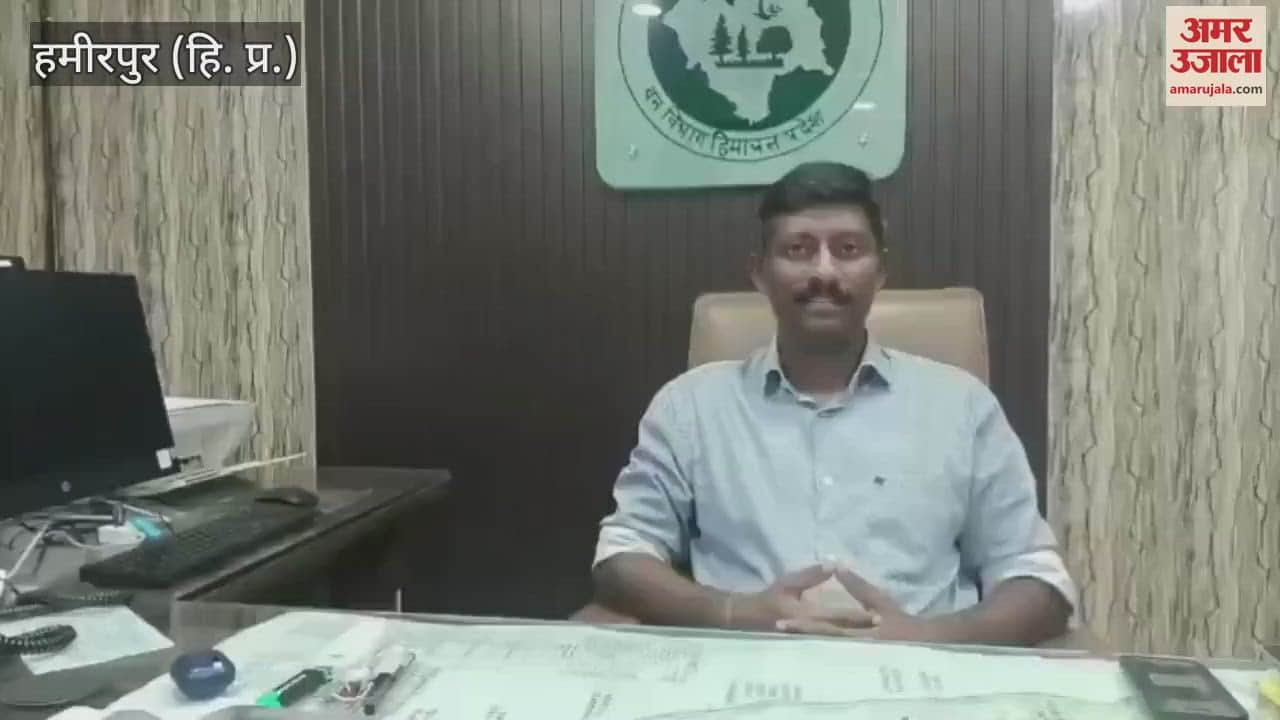 Hamirpur Gujarat lioness will roar in Kangra lion Dhira will get a female partner