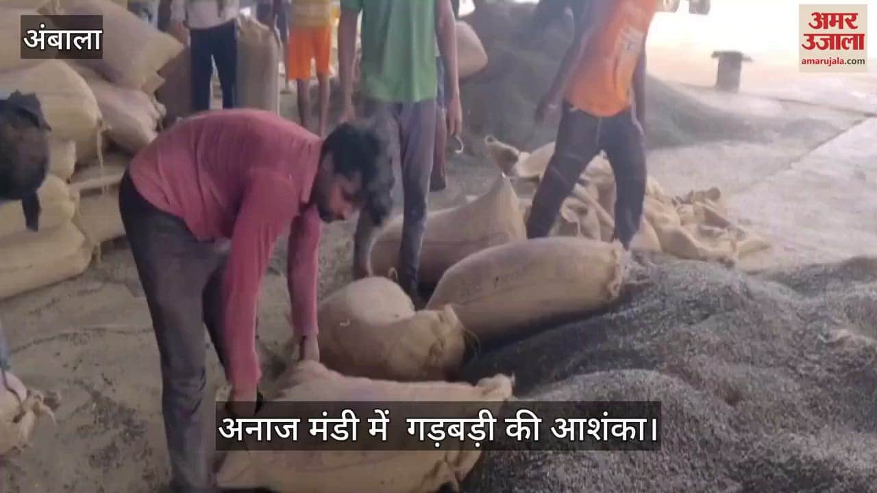 possibility of disturbance in the grain market