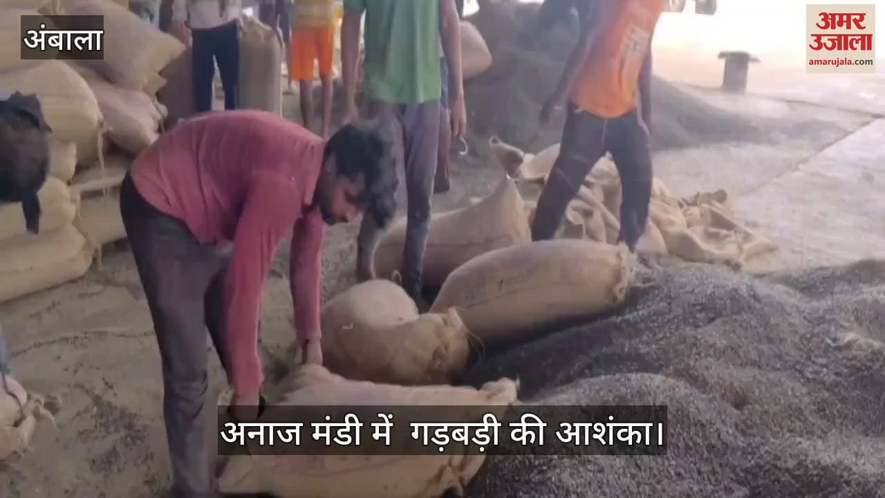 possibility of disturbance in the grain market