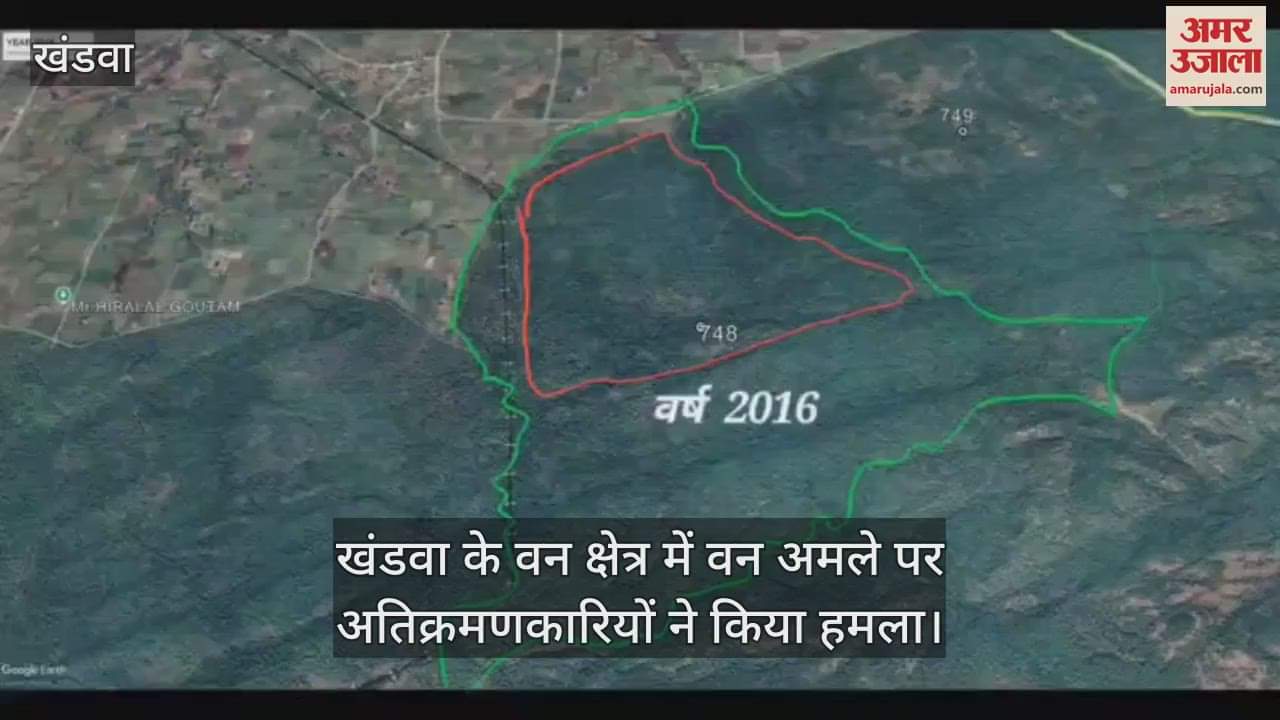 Forest officials who went to stop encroachment were attacked with slingshots and stones