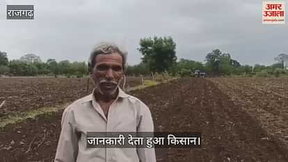 Economic crisis deepens on farmers in Rajgarh, soybean not grown on 150 bigha land