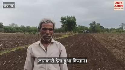 Economic crisis deepens on farmers in Rajgarh, soybean not grown on 150 bigha land