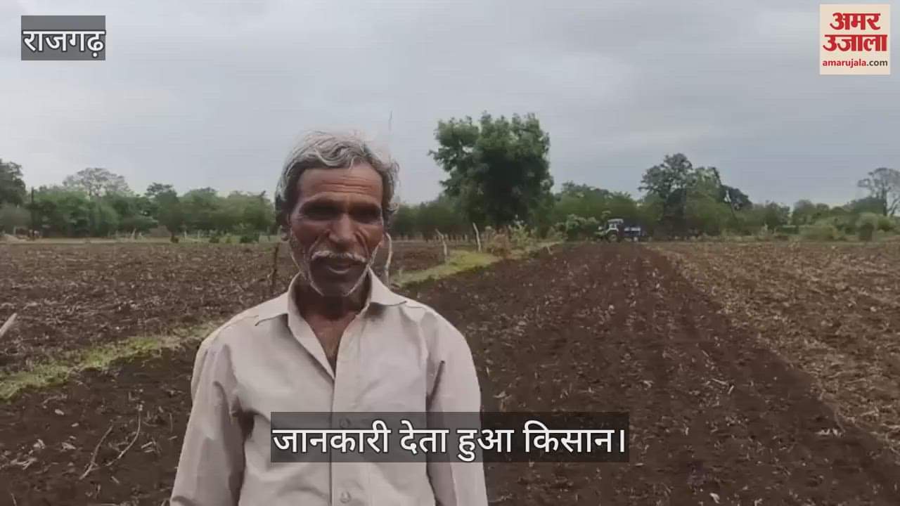 Economic crisis deepens on farmers in Rajgarh, soybean not grown on 150 bigha land