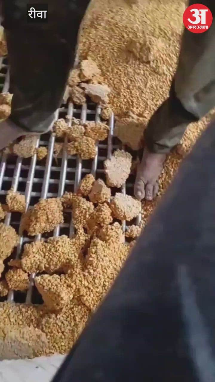 In Rewa, nutritious food is being prepared by trampling under feet