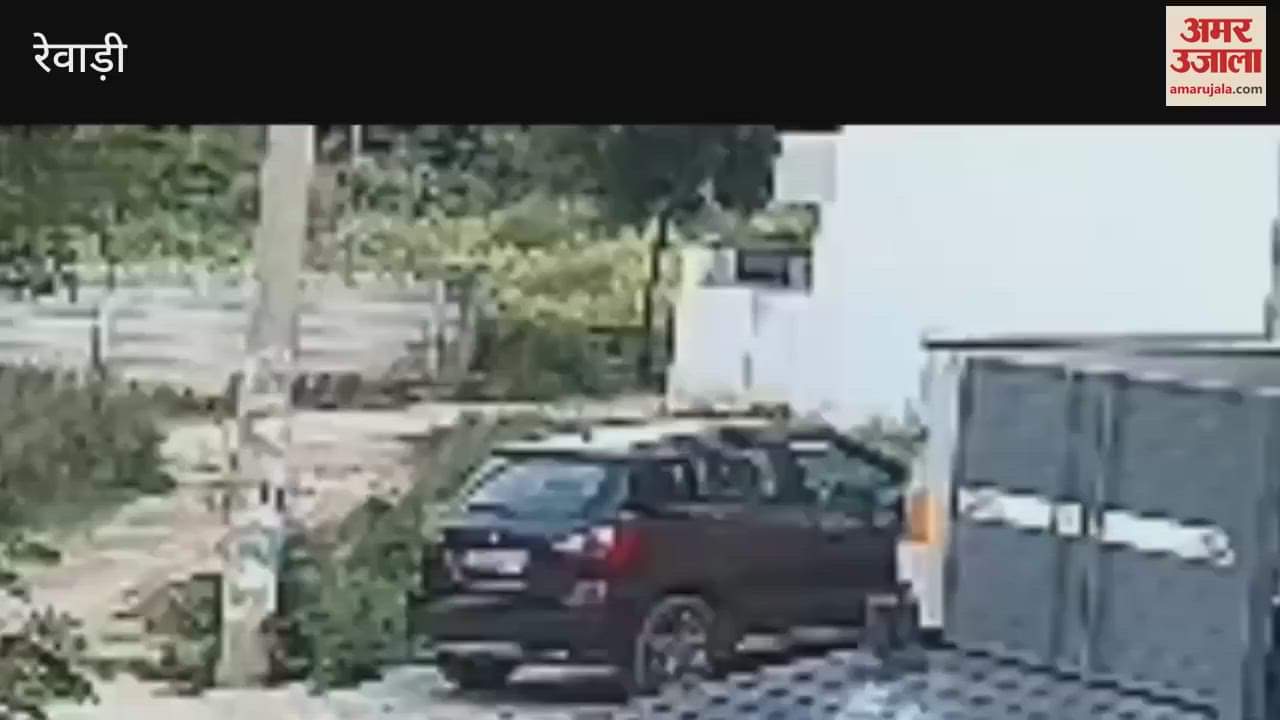 cow trampled young man for 5 minutes in Sector 4 of Rewari, cow also became violent on people who came to rescue him