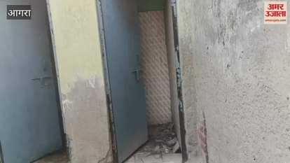 corruption expose in animal service center construction