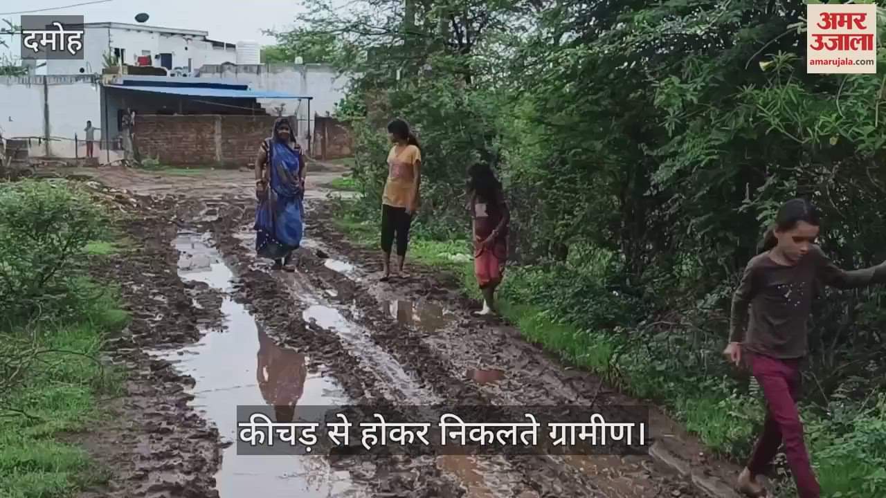 Damoh News: Villagers troubled by swampy road in Amchopara village