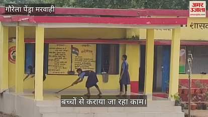In the government schools of Gaurela Pendra Marwahi future of the children is being played with work