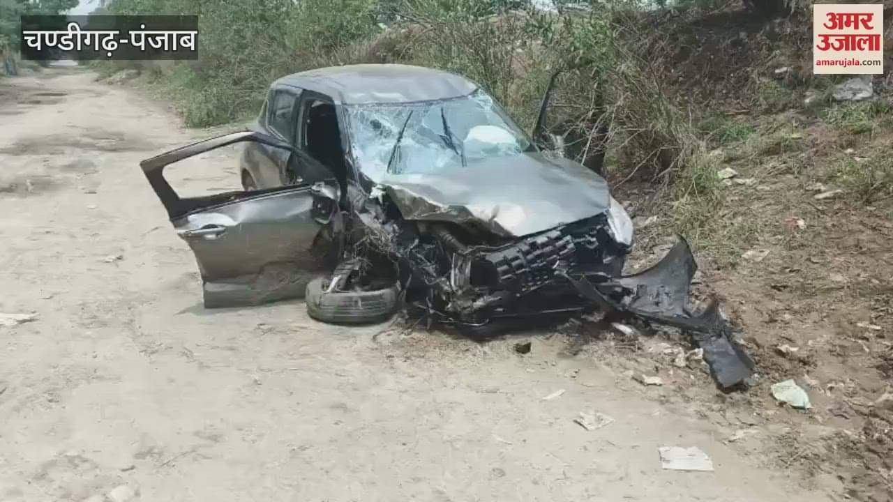 Car and truck collide in Kapurthala AAP leader's nephew dies