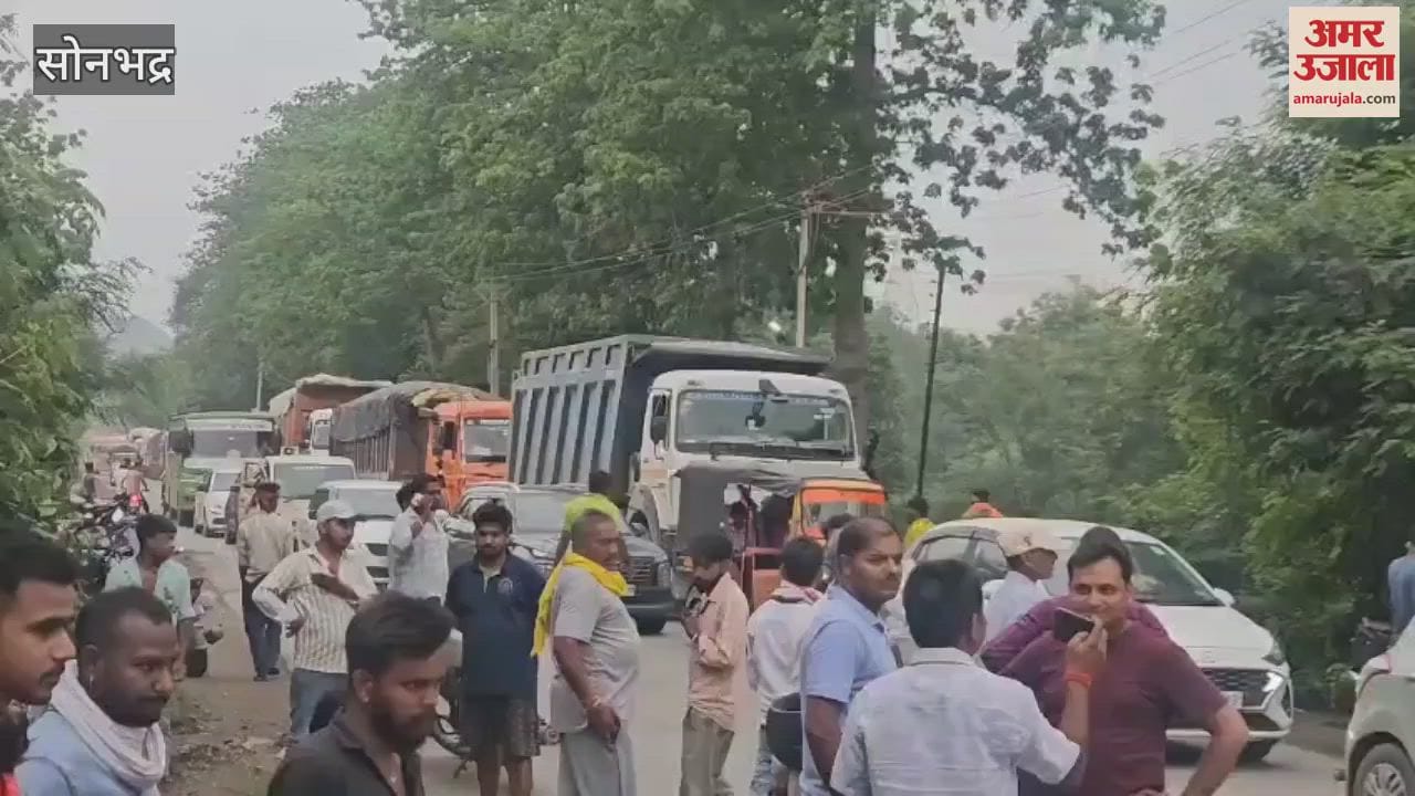 Uncontrolled bulker crushes labourer riding bicycle dies on spot
