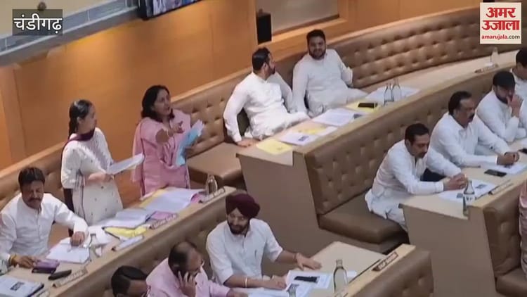 Councillor Premlata Said In Chandigarh Corporation Meeting- No Engineer Goes To The Ward – Amar Ujala Hindi News Live
