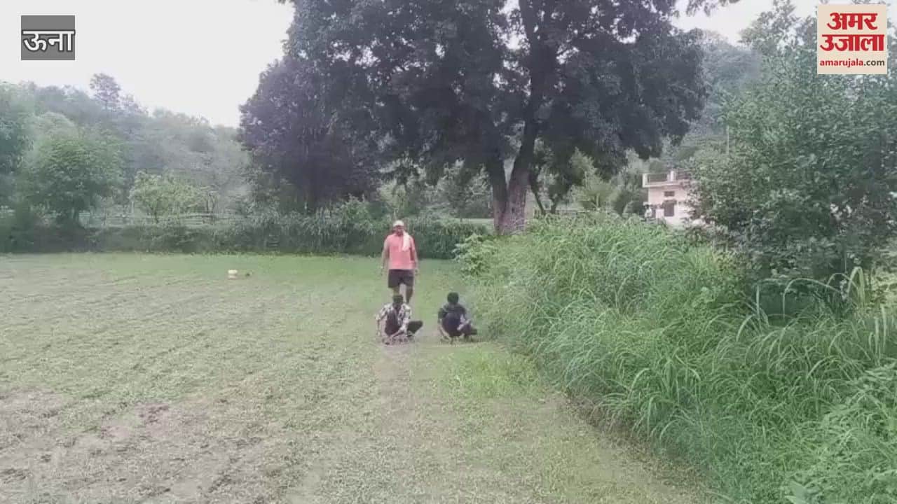 Una Rain became a problem for farmers maize crop was destroyed