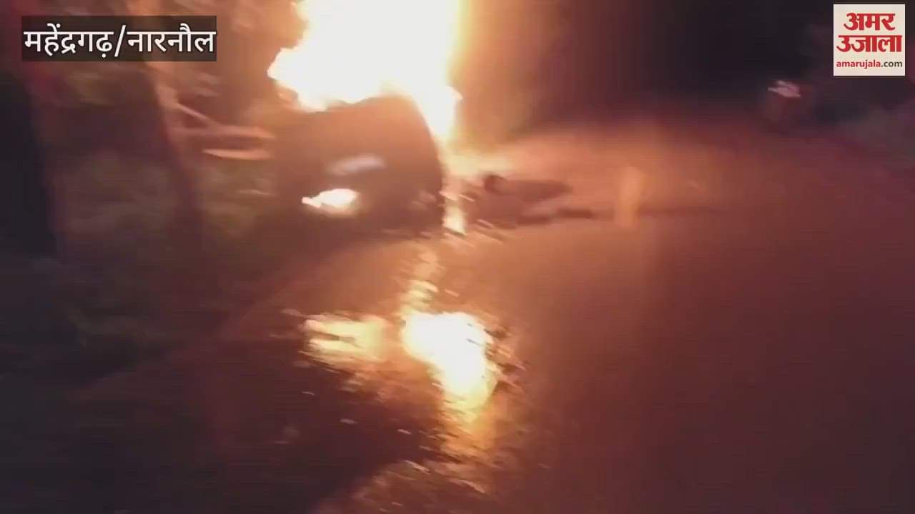 while trying to save a Nilgai, the car collided with a tree and caught fire, four youths saved their lives by jumping In Mahindergarh