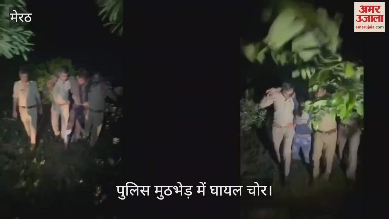 Nauchandi and Medical police encounter thieves, two gang members shot in leg