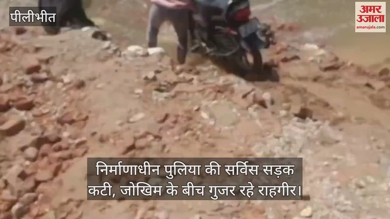 service road of the under-construction culvert cut in Pilibhit