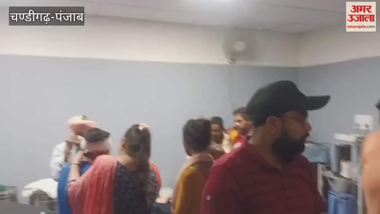 Auto rickshaw carrying students going to school in Kapurthala collides with a stray animal, eight injured