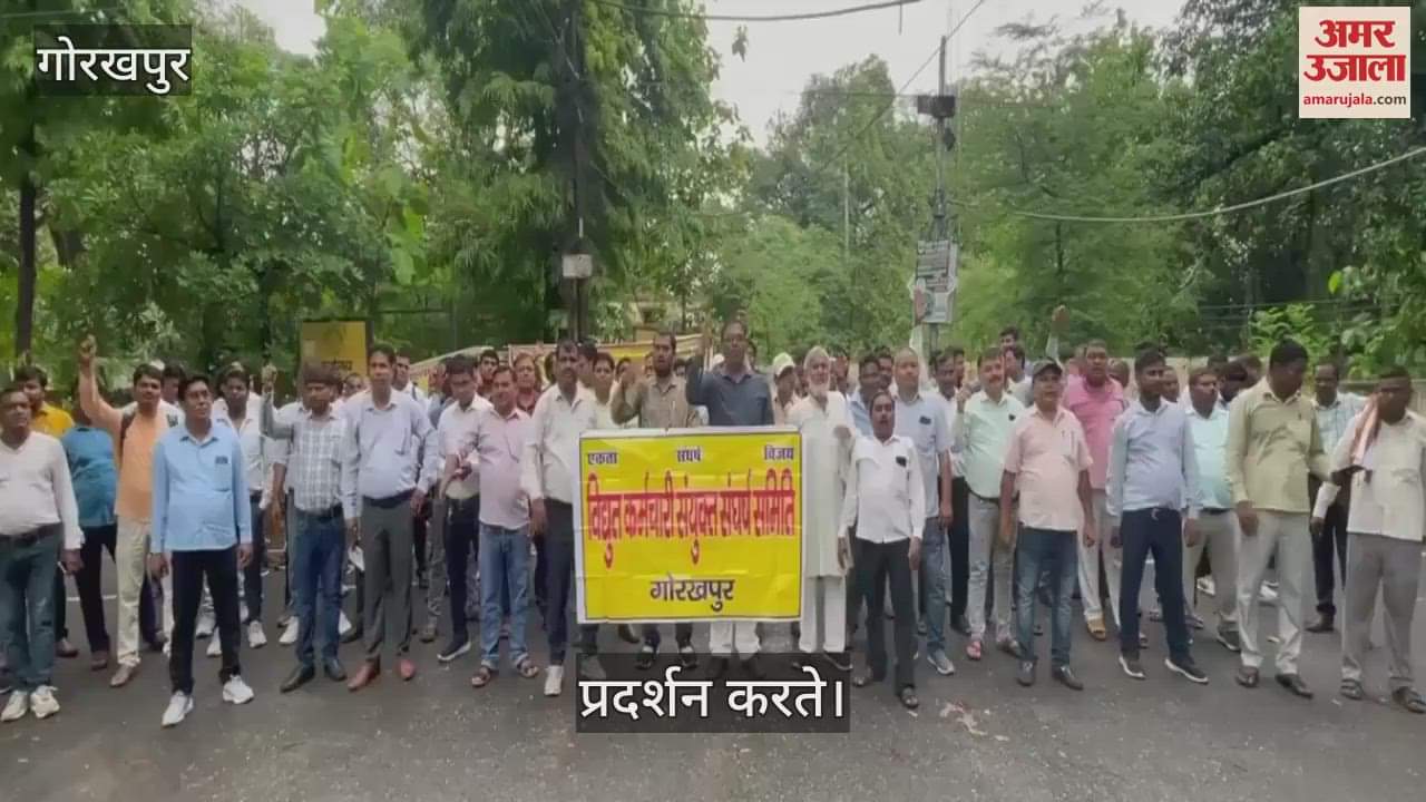 Electricity Corporation engineers protested against privatization at the Chief Engineer's office
