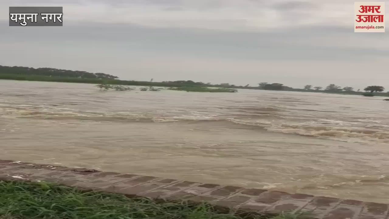 Demand to restart Dadupur-Nalvi Canal