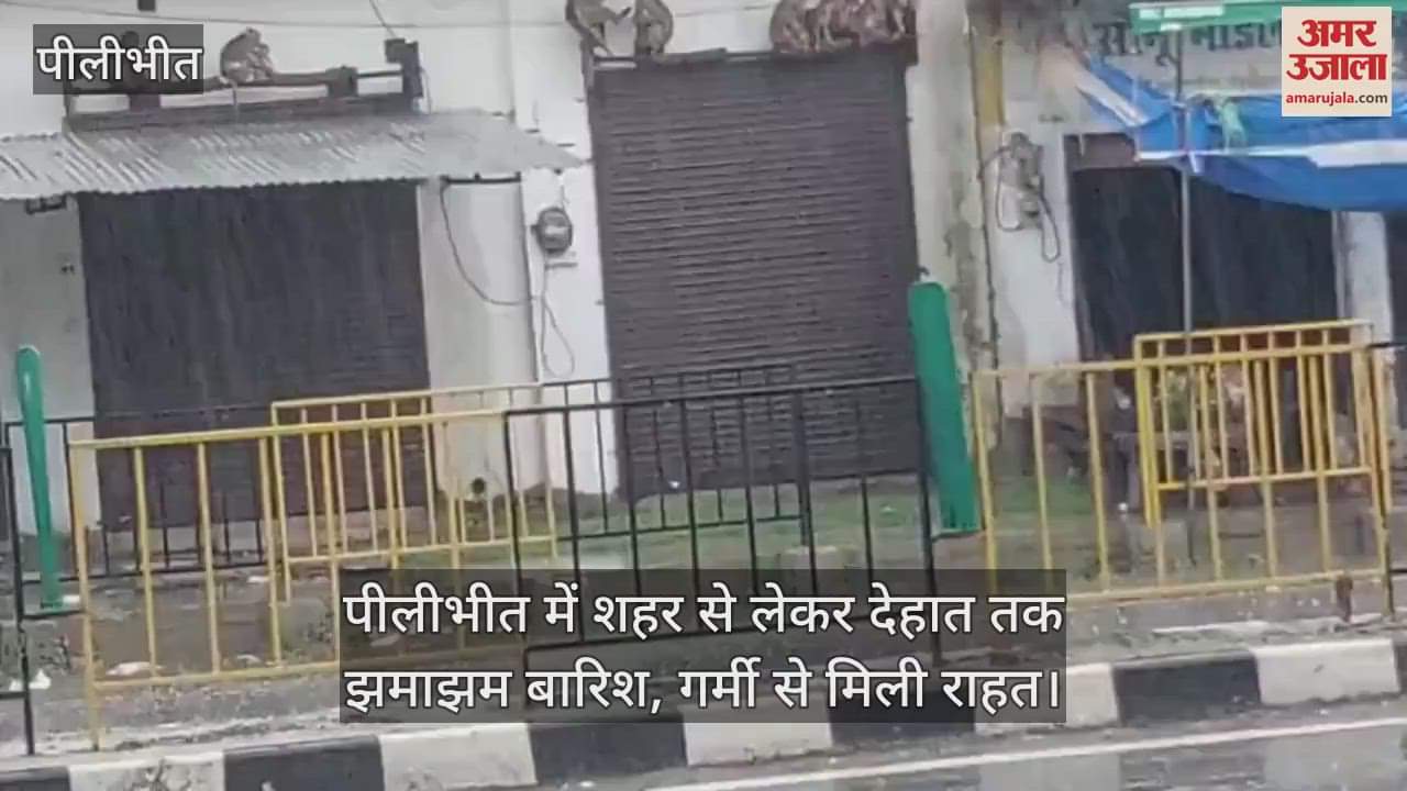 Heavy rain from city to countryside in Pilibhit