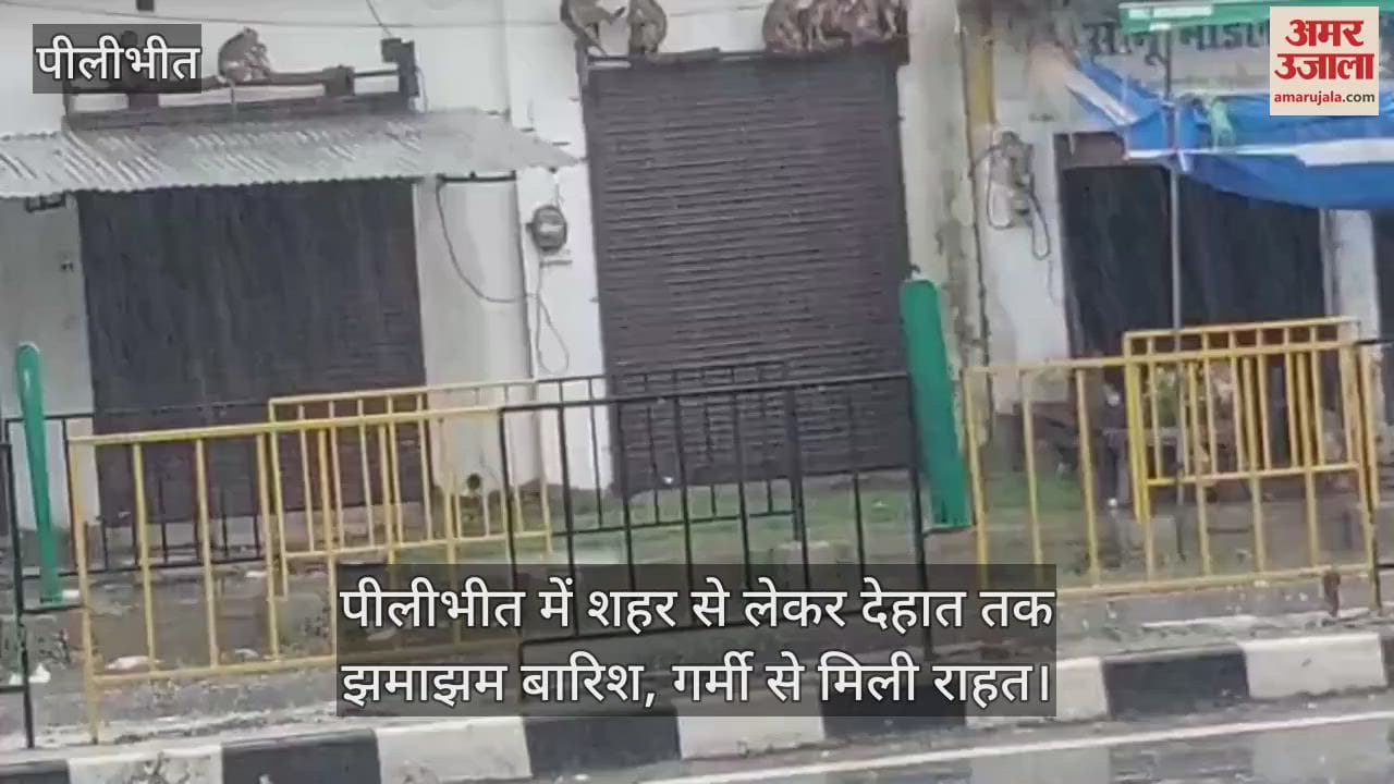 Heavy rain from city to countryside in Pilibhit