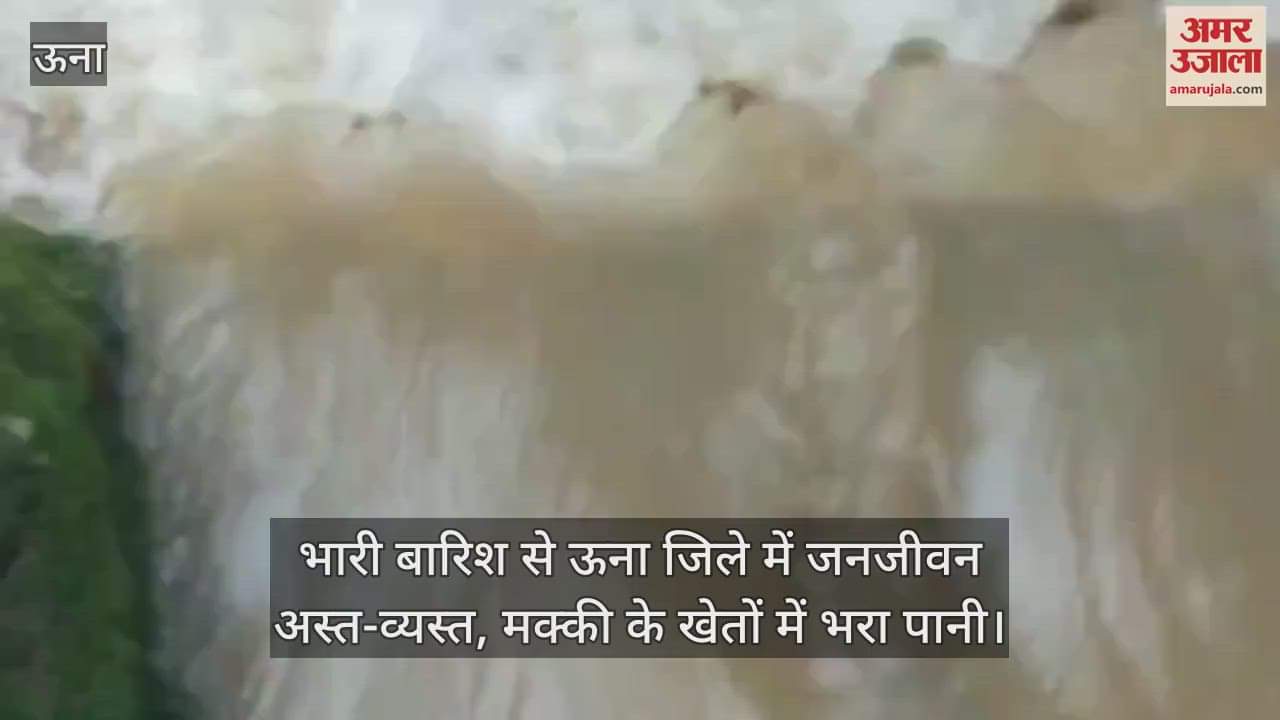 Heavy rains have disrupted life in Una district, maize fields are filled with water