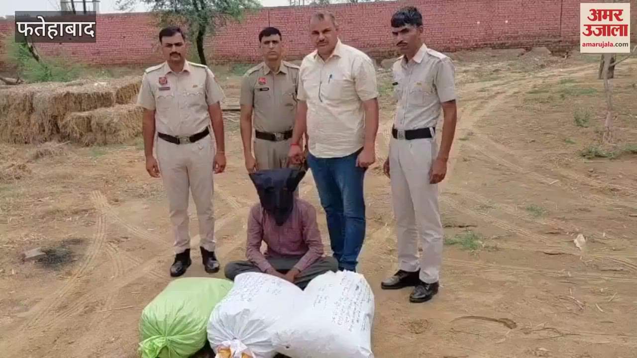 Fatehabad CIA recovered 31 kg 500 grams of poppy husk, one accused arrested