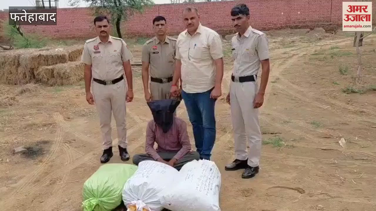 Fatehabad CIA recovered 31 kg 500 grams of poppy husk, one accused arrested