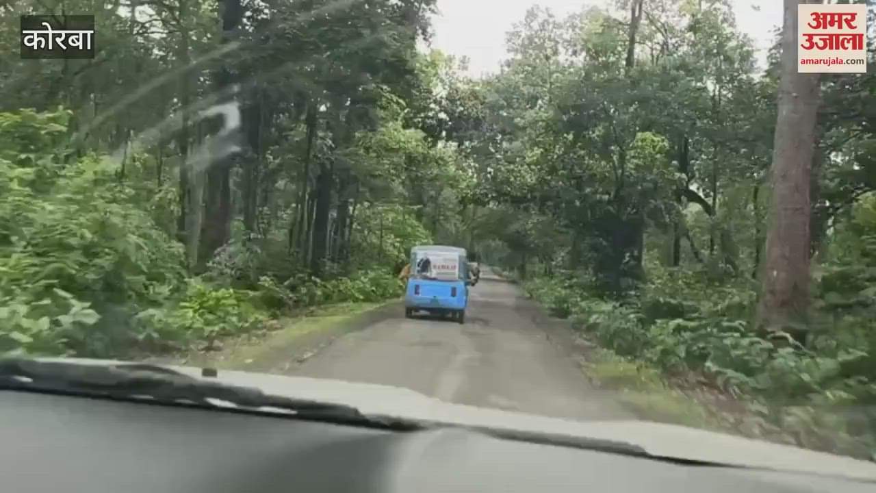 Video of youths doing stunts in electric auto goes viral