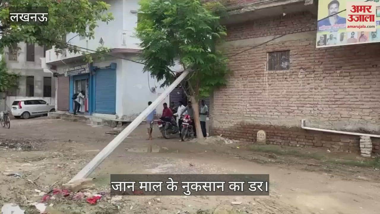 VIDEO:मुख्य मार्ग पर एक महीने से पेड़ के सहारे लटका हुआ है बिजली का खंभा, जान माल के नुकसान का डर
