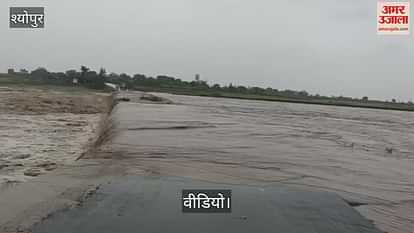 Due to heavy rains, Kuwari river is in spate, many villages are cut off due to sinking of bridge