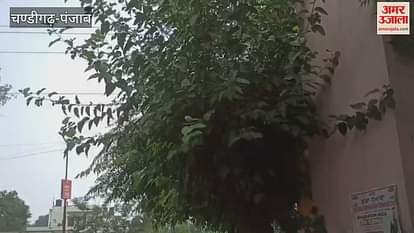 Rain in Kapurthala