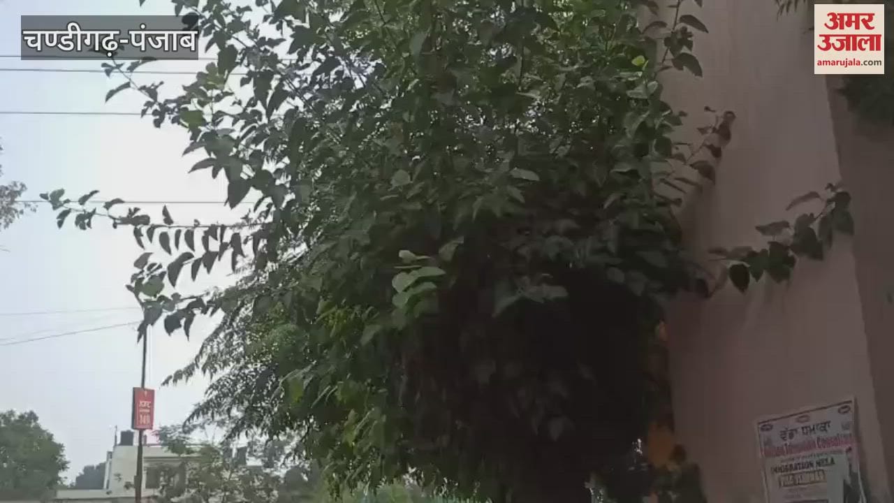 Rain in Kapurthala
