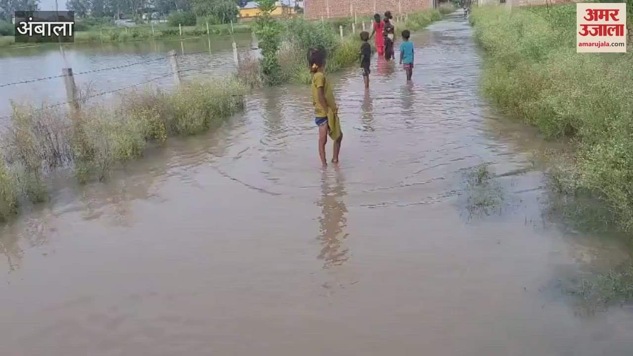 Residents of three colonies troubled by waterlogging in Ambala's Barara staged a protest