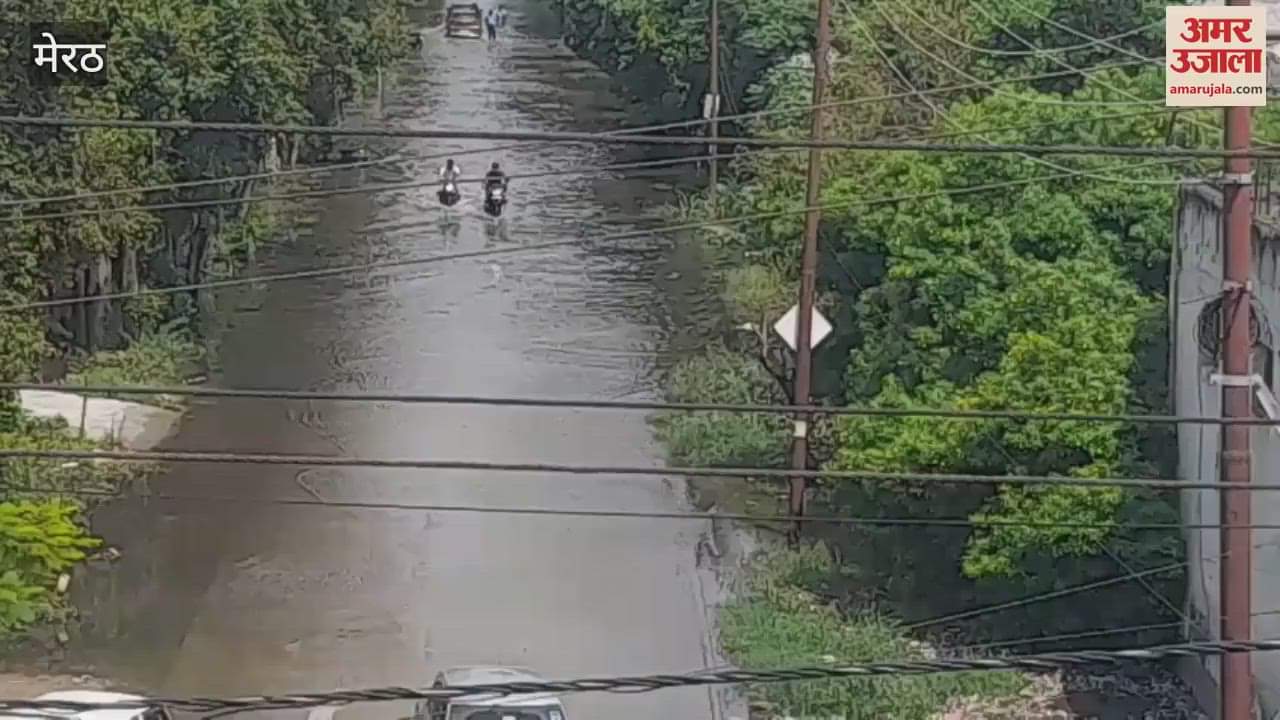 Meerut: This is not a jungle, it is a road leading to a sports complex!