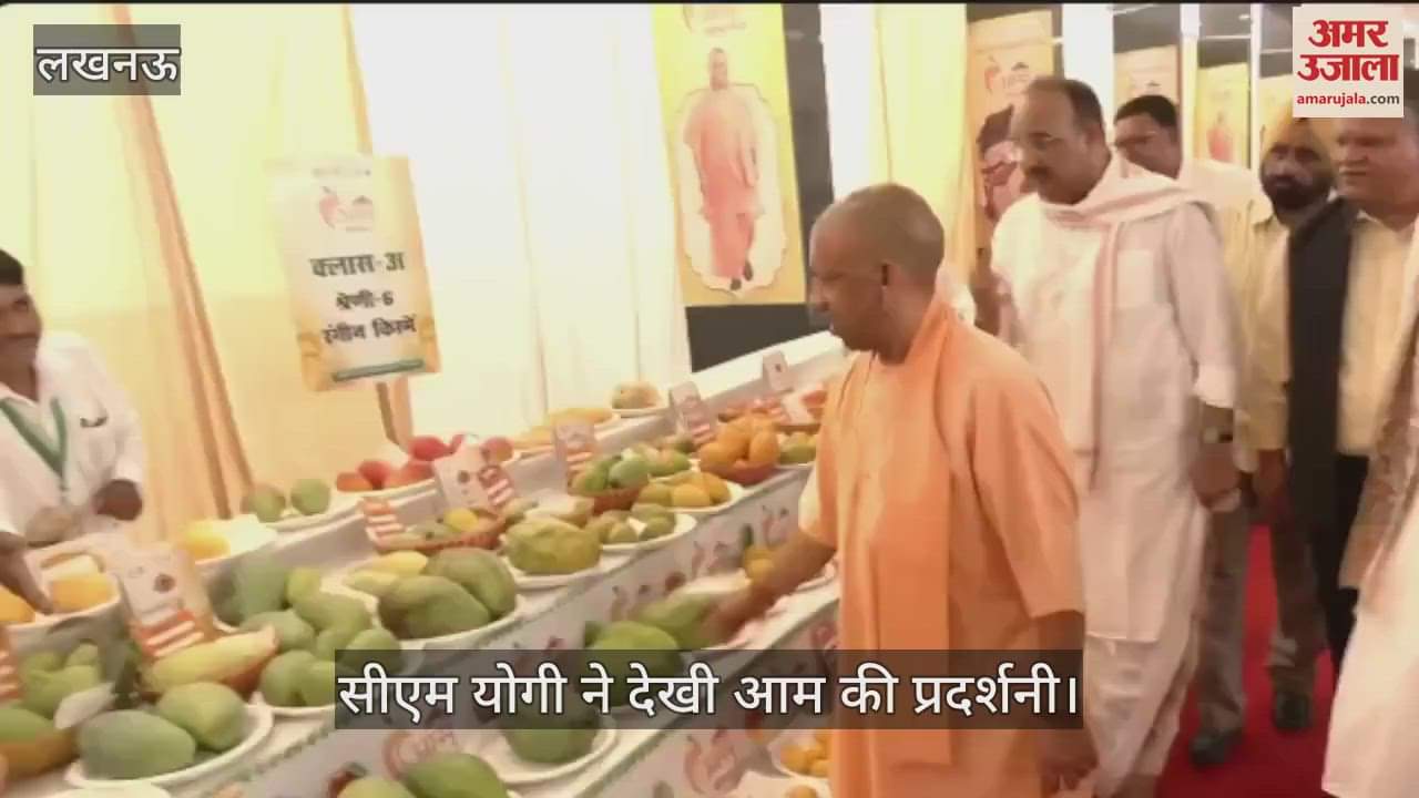 VIDEO: सीएम योगी ने किया आम महोत्सव का शुभारंभ, "योगी आम" देखकर हुए खुश