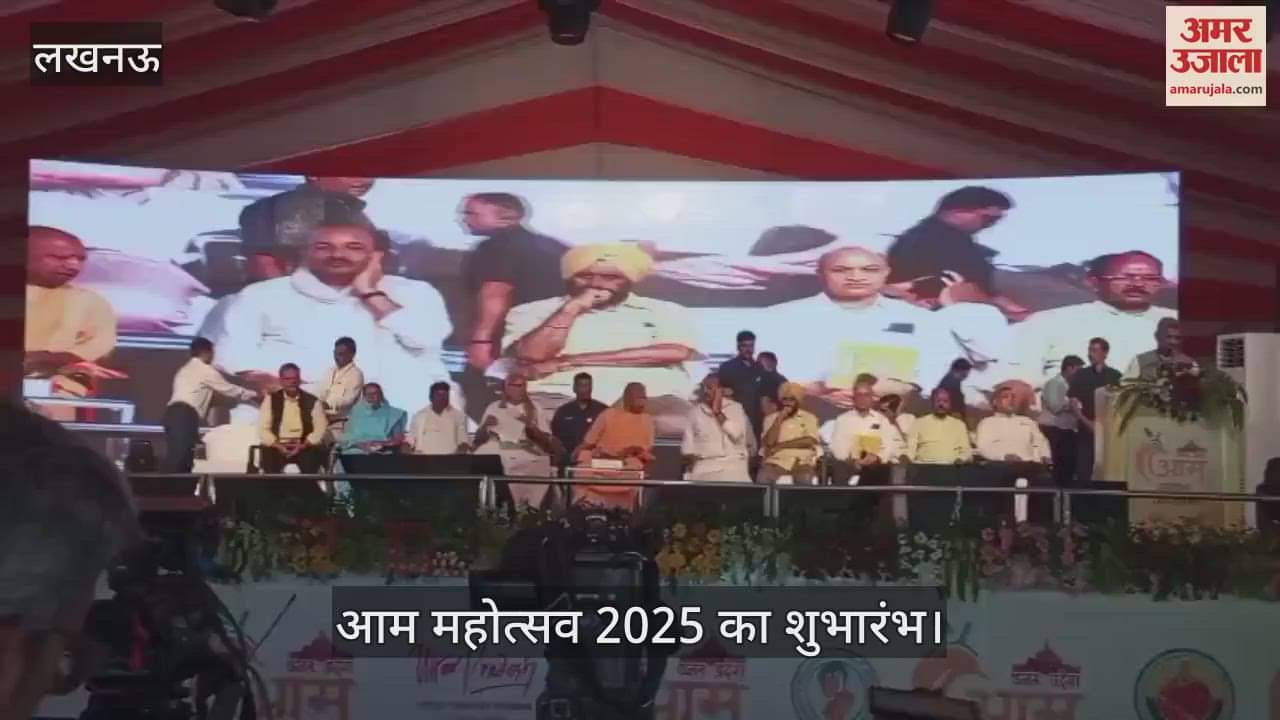 VIDEO: आम महोत्सव का शुभारंभ: कई देशों में निर्यात किया जाता है यूपी का आम... दी गई पूरी जानकारी