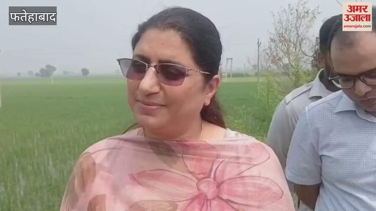 Water level decreased at Chandpur Head in Jakhal of Fatehabad, vigil on the dam continues