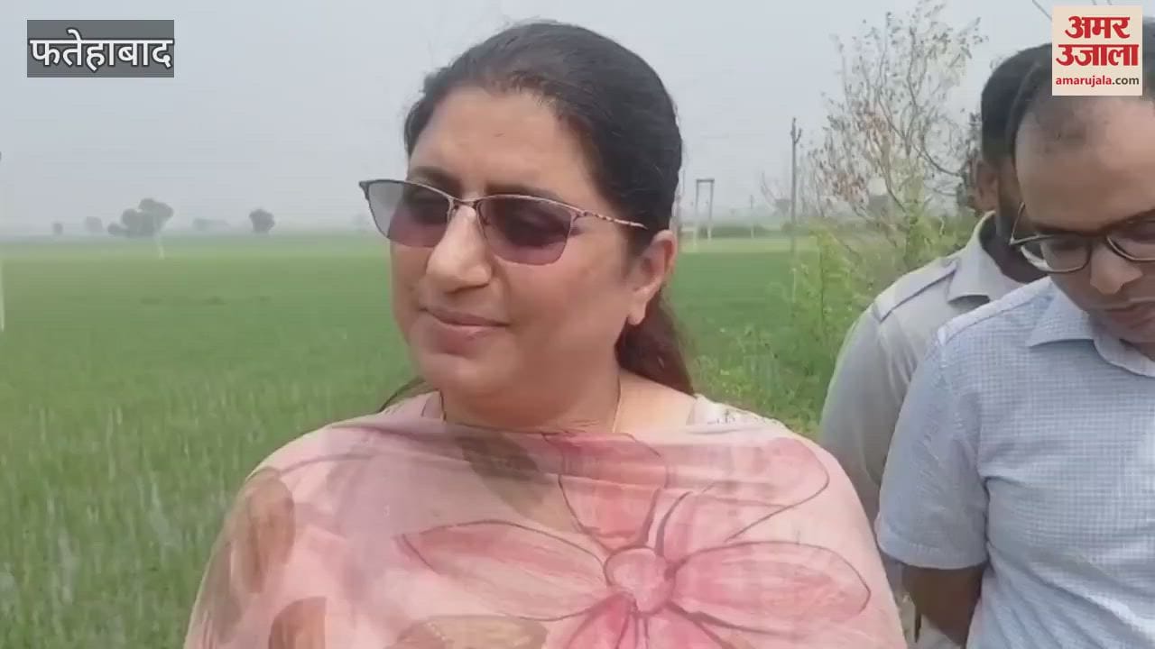 Water level decreased at Chandpur Head in Jakhal of Fatehabad, vigil on the dam continues