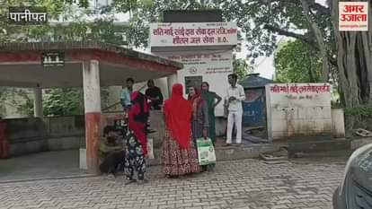 A girl died after being hit by a freight train while trying to remove a goat from the track in Panipat