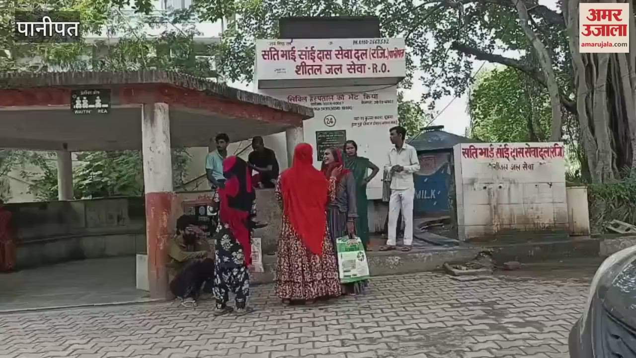 A girl died after being hit by a freight train while trying to remove a goat from the track in Panipat