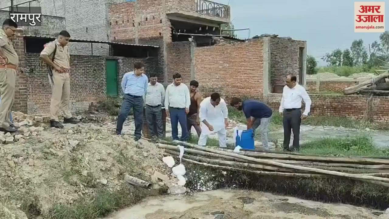 Food department takes action against adulterators, 160 kg of poisonous cheese destroyed