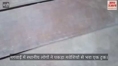 Locals caught a truck full of cattle in Nagwain