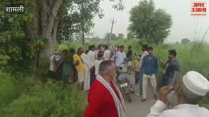 Leopard found dead in Shamli field, villagers suspect electrocution from power line