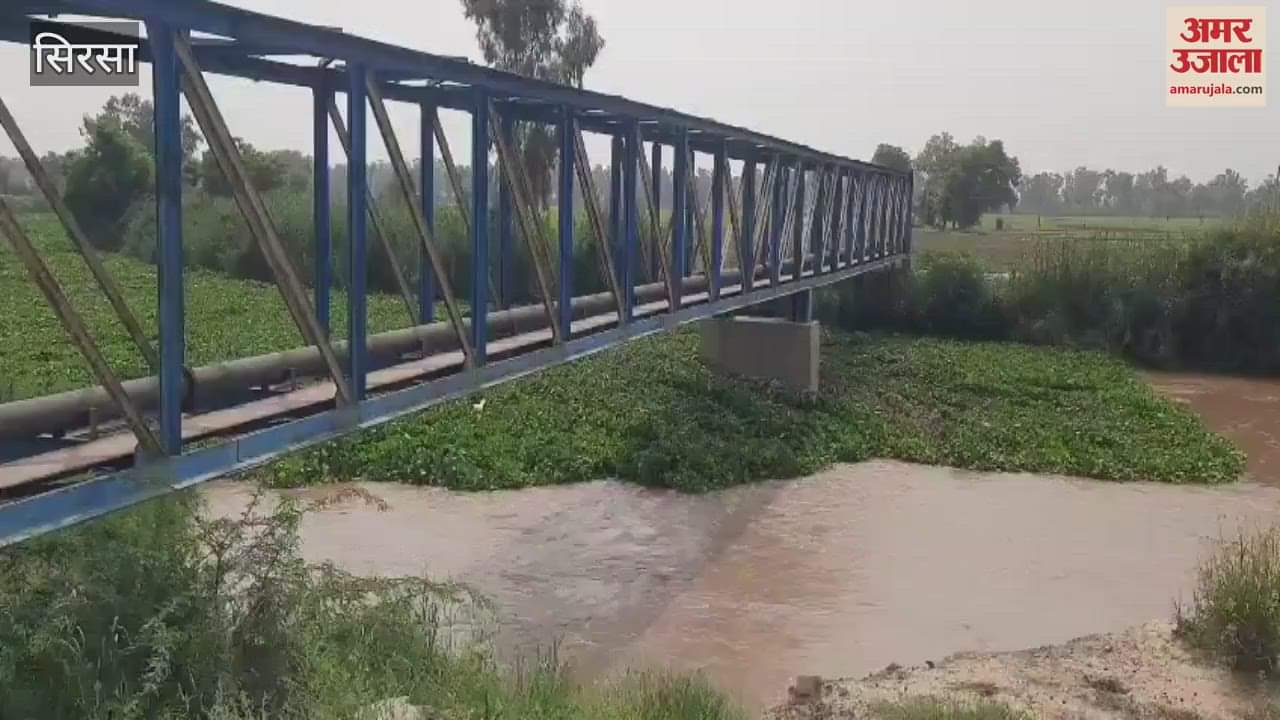 Flooded canals broke due to rising water level of Ghaggar river in Sirsa, crops were destroyed; one youth died